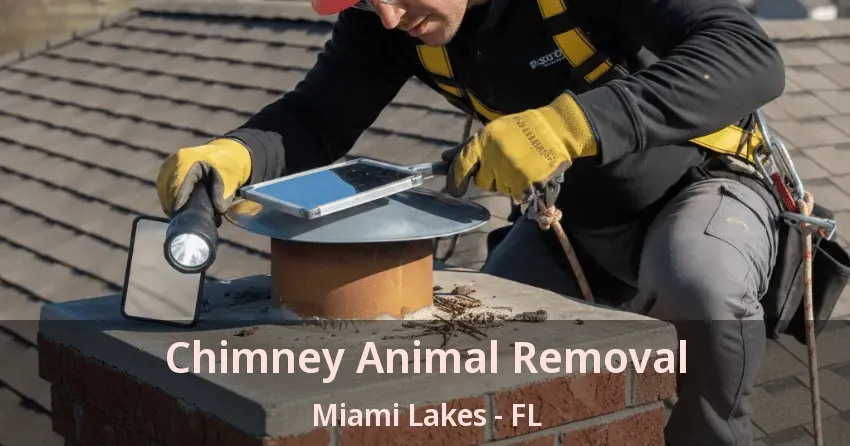 Chimney Animal Removal Miami Lakes - FL