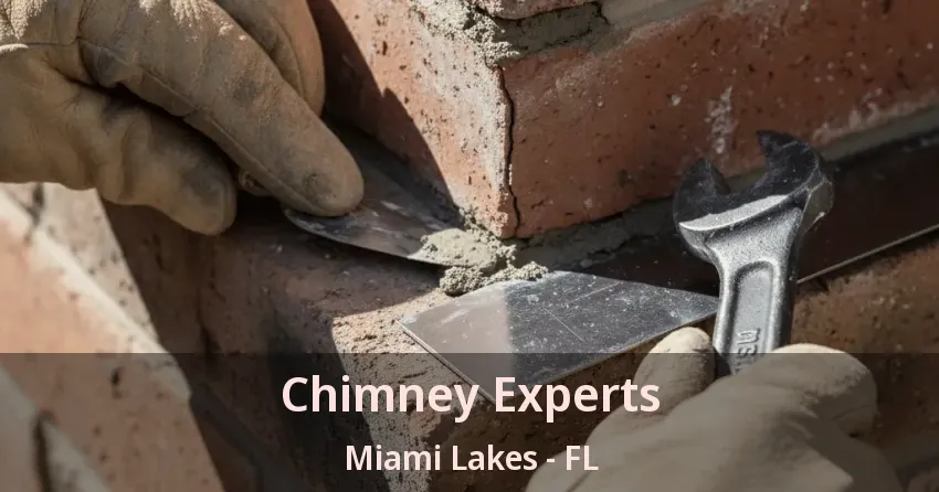 Chimney Experts Miami Lakes - FL