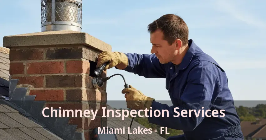 Chimney Inspection Services Miami Lakes - FL
