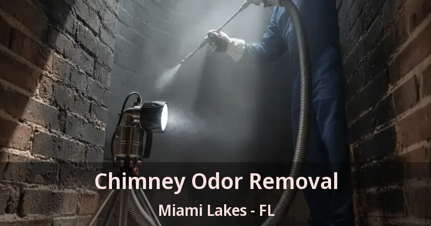 Chimney Odor Removal Miami Lakes - FL