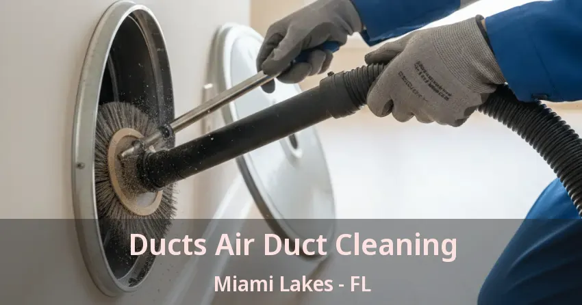 Ducts Air Duct Cleaning Miami Lakes - FL