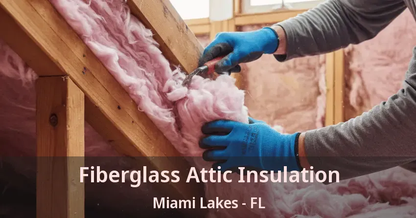 Fiberglass Attic Insulation Miami Lakes - FL