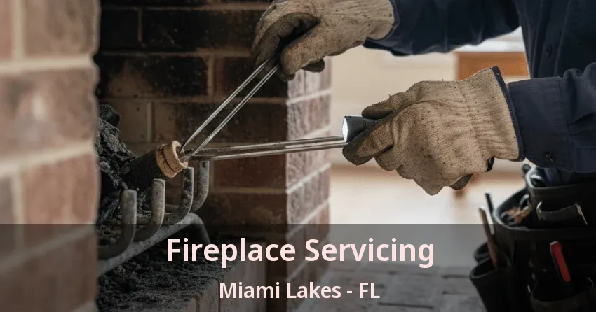 Fireplace Servicing Miami Lakes - FL Fireplace Servicing Miami Lakes - FL