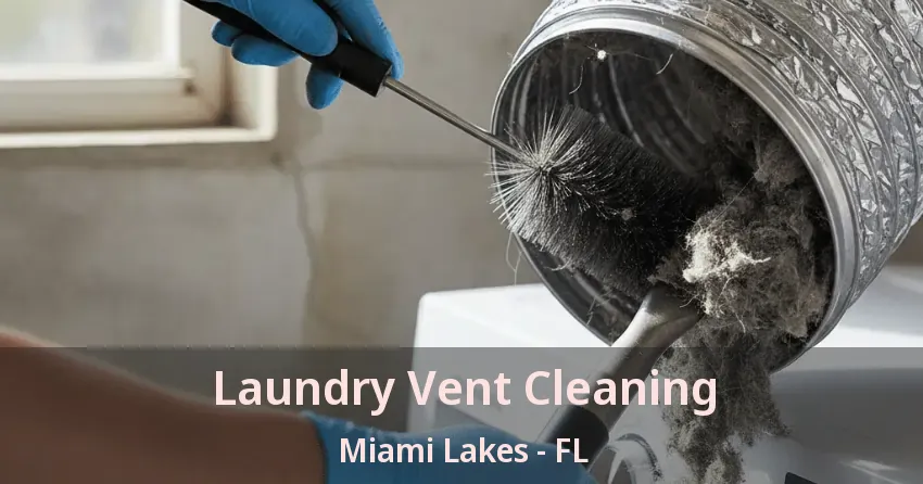 Laundry Vent Cleaning Miami Lakes - FL Laundry Vent Cleaning Miami Lakes - FL