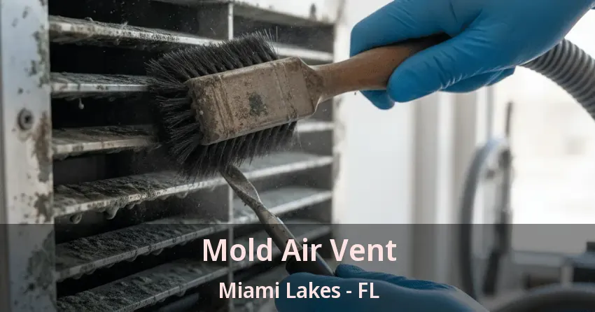 Mold Air Vent Miami Lakes - FL