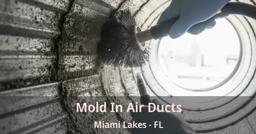 Mold In Air Ducts Miami Lakes - FL