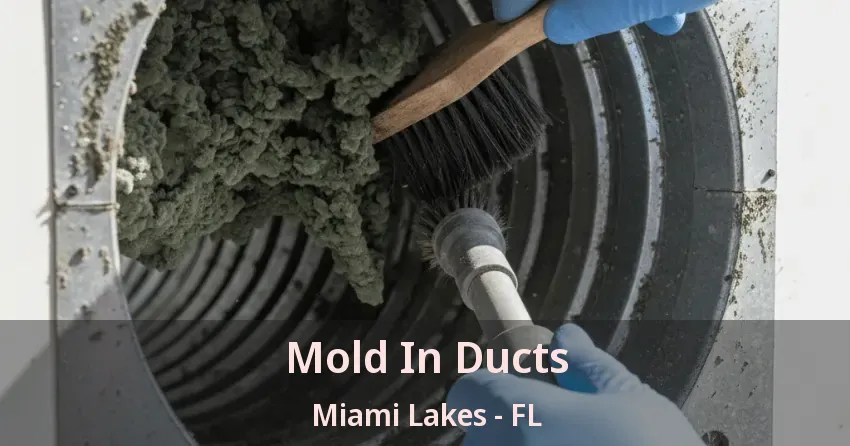 Mold In Ducts Miami Lakes - FL Mold In Ducts Miami Lakes - FL