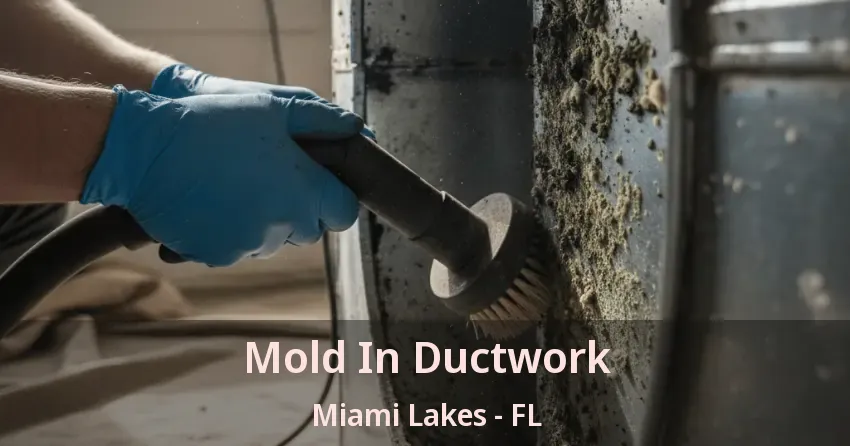 Mold In Ductwork Miami Lakes - FL