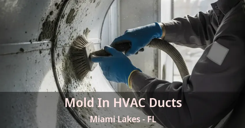 Mold In HVAC Ducts Miami Lakes - FL Mold In HVAC Ducts Miami Lakes - FL
